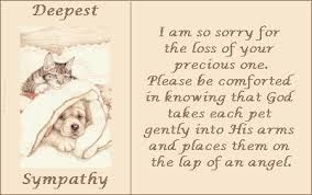 sympathy on loss of a dog.jpg
