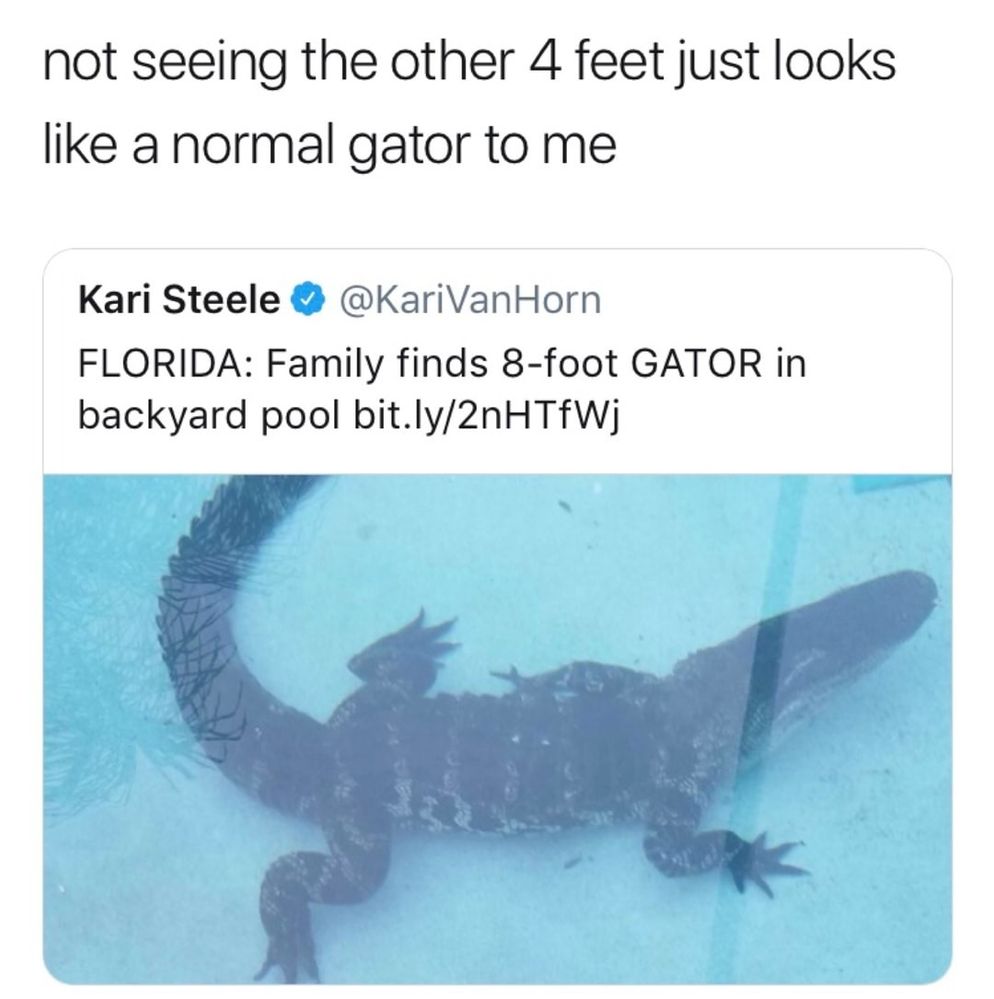 8 ft. gator.jpg