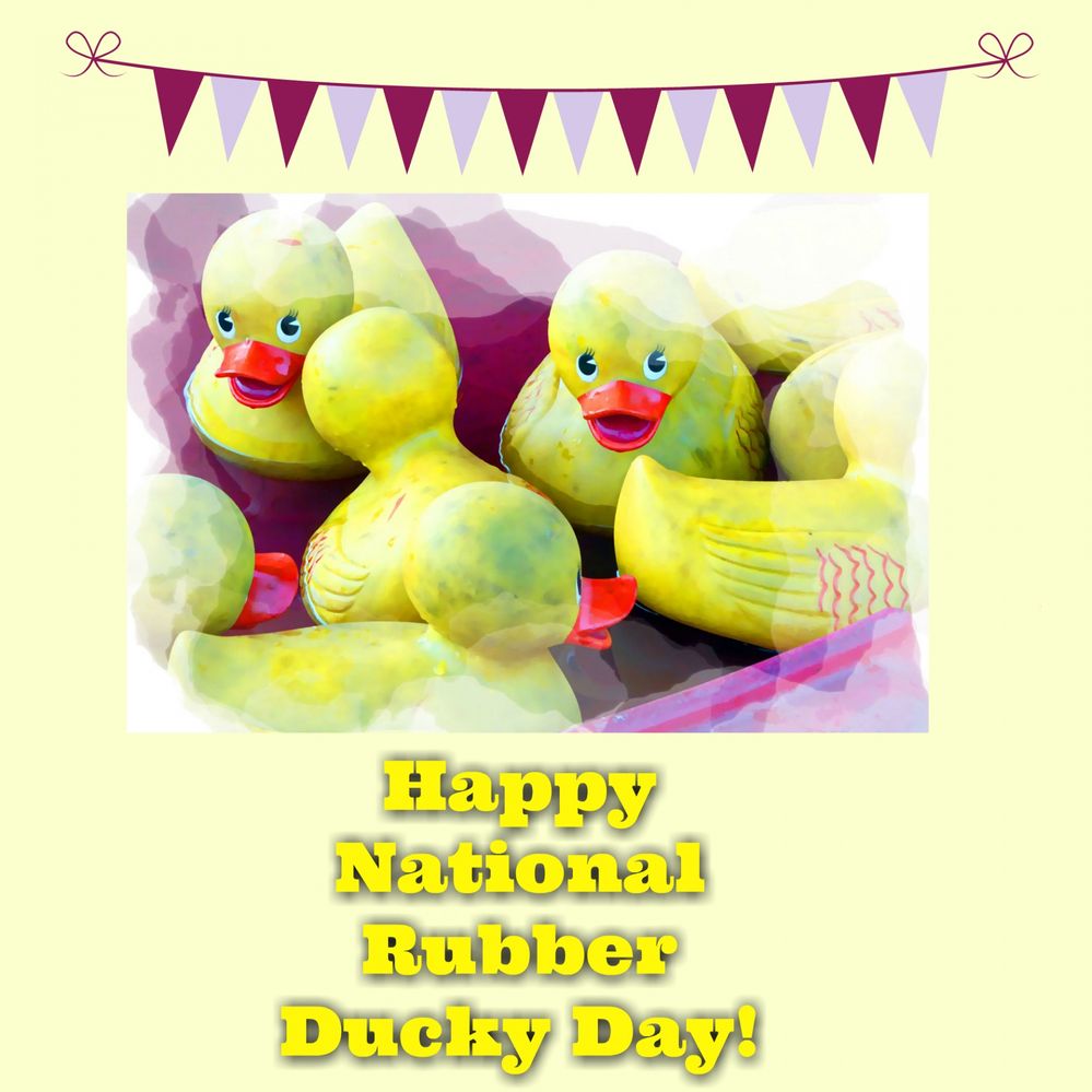 national-rubber-ducky-day - 1-13.jpg