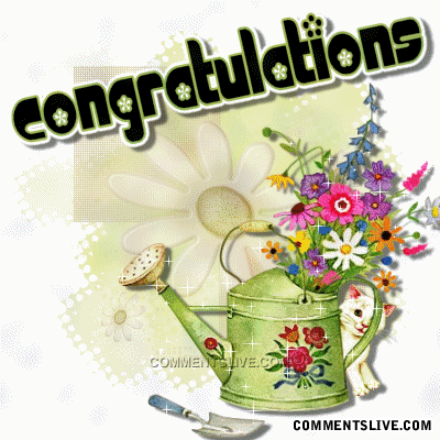 congratulations-flower-pot.gif